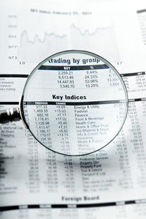 临沂同志供卵选性别：nt值偏高风险大吗下一步检查什么？